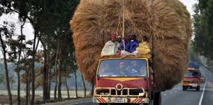 truck transporting wheat bales