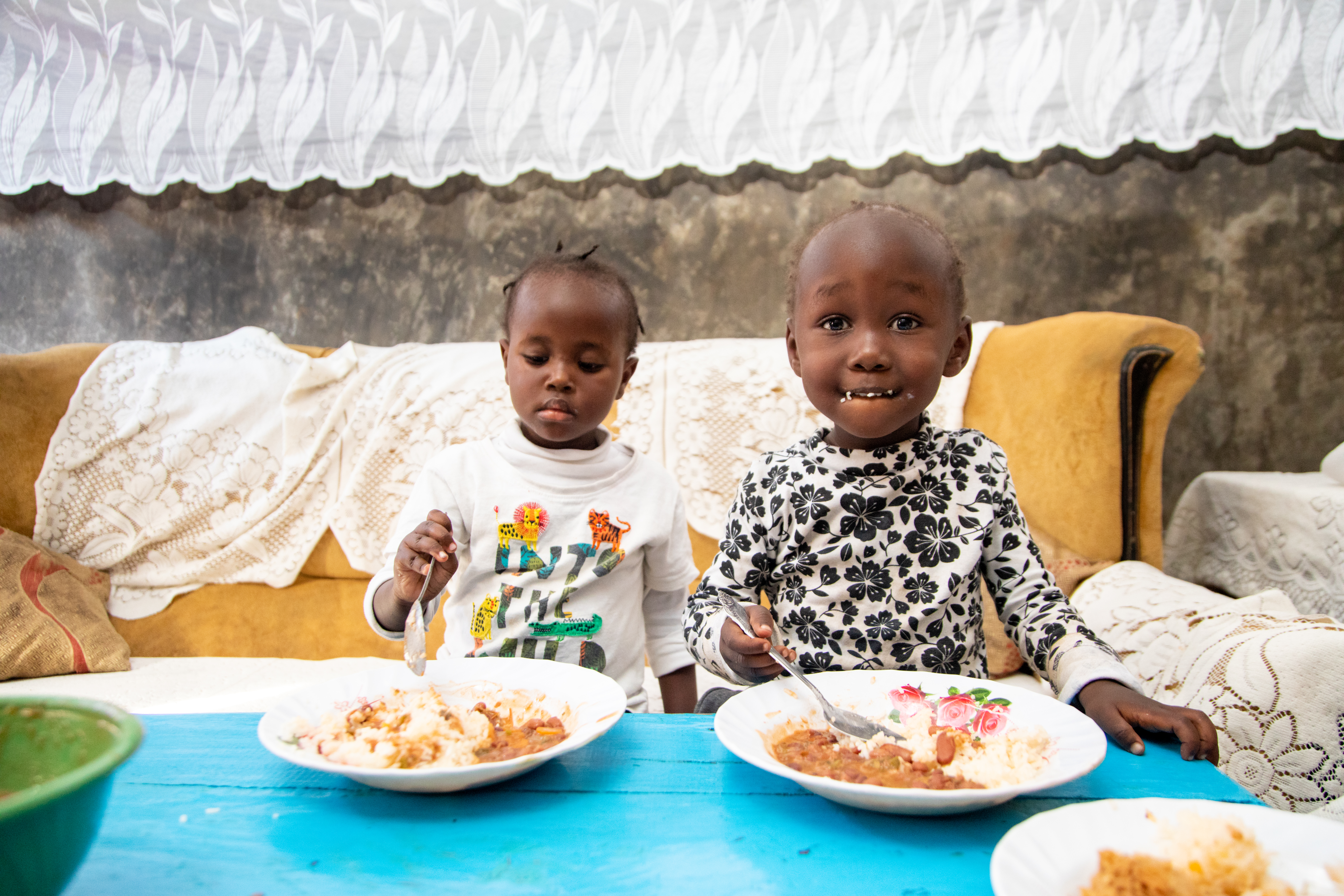 Mozambique Food Systems Dashboard: A Data-Driven Approach to Food Security