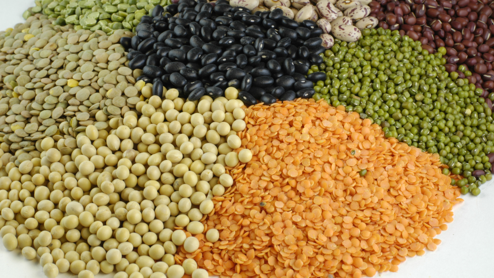 World Pulses Day 2025: Pulses as a Key to Agrifood Diversity