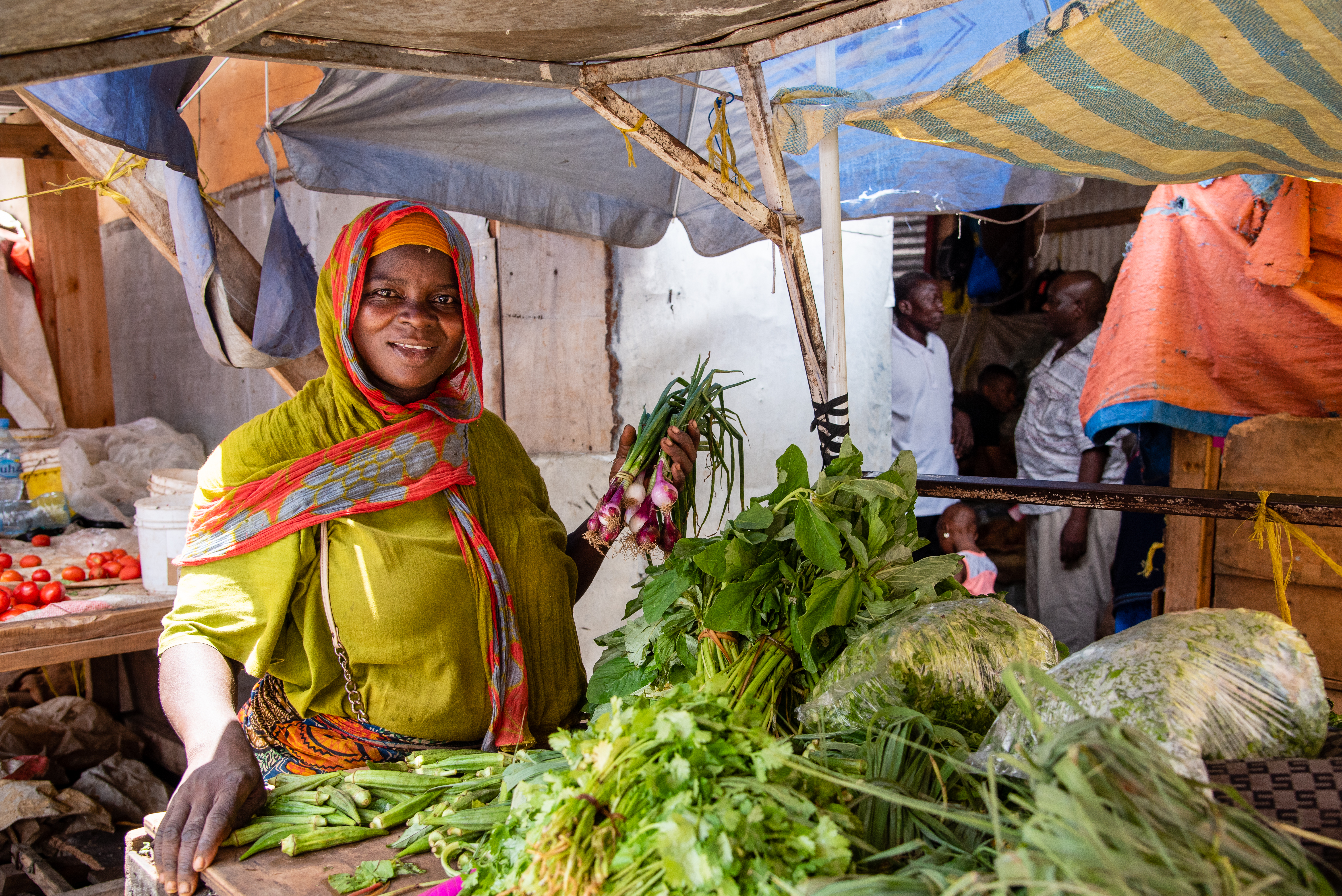 Status of Food and Nutrition Security in Kenya: An Implementation of the Framework for Harmonizing Nutrition Indicators