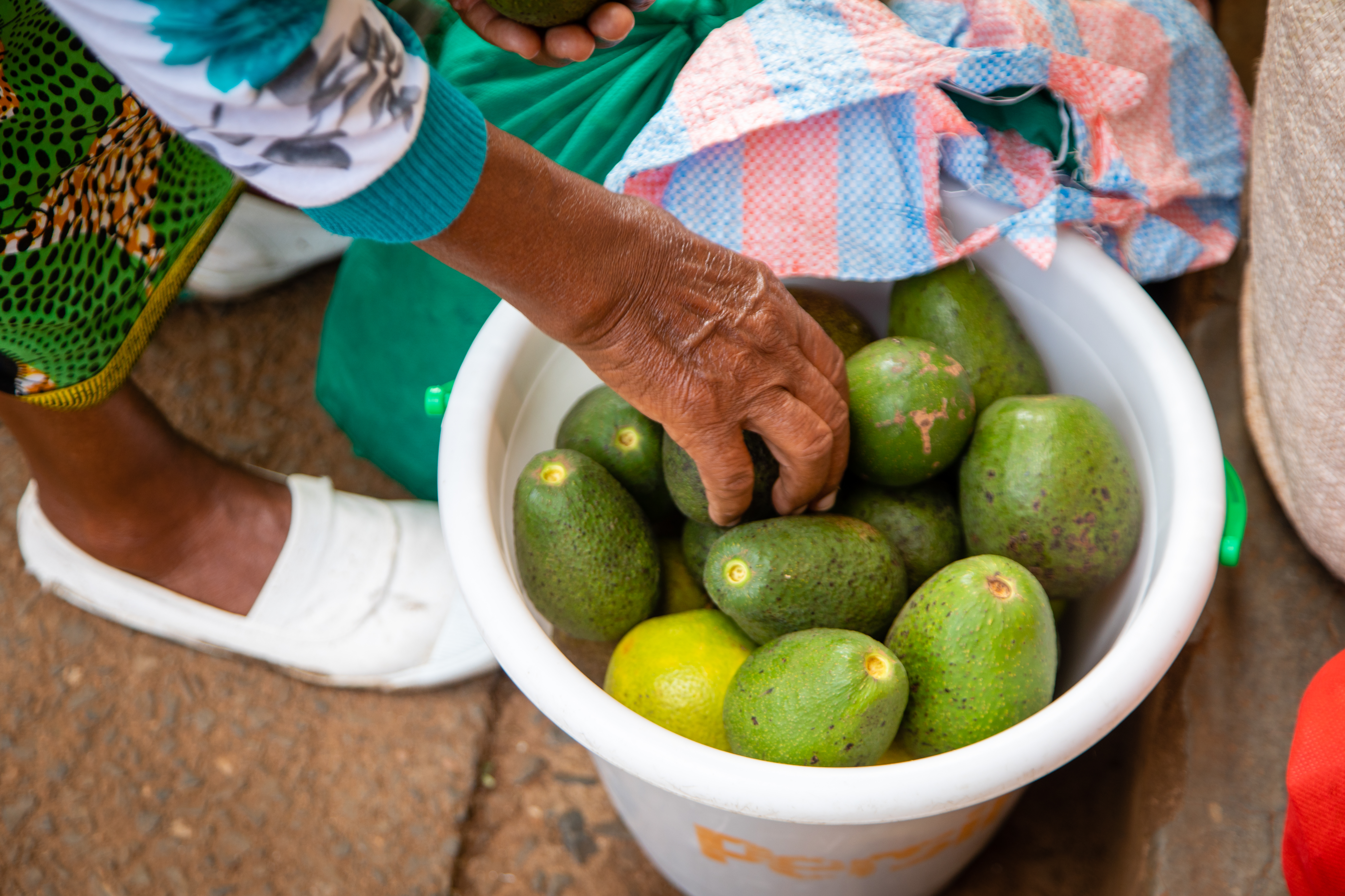 Nutritious and Safe Food for All: Improving Food Safety through Food Systems Actions