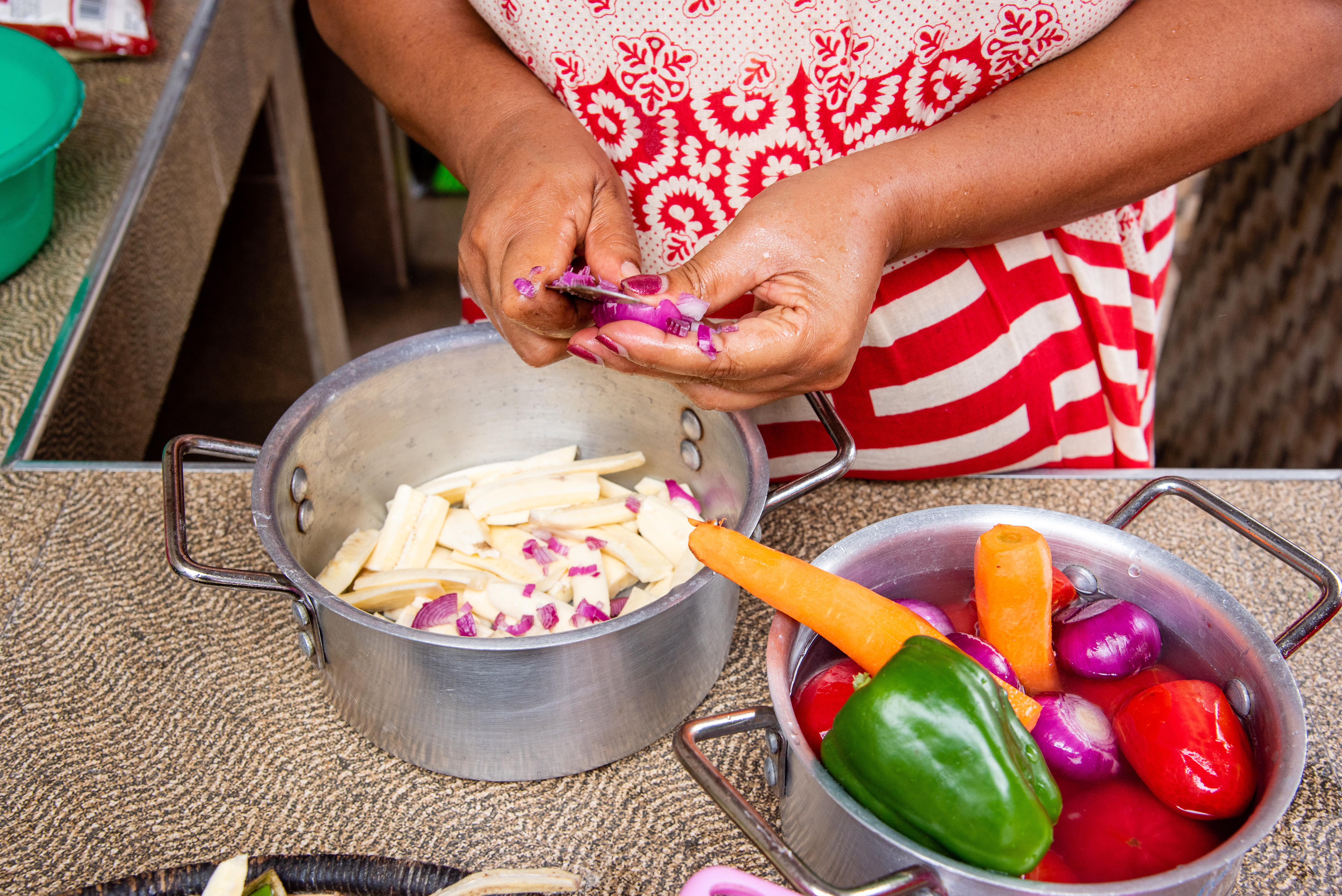 Transforming Food Systems for a Climate-Resilient, Well-Nourished Nigeria