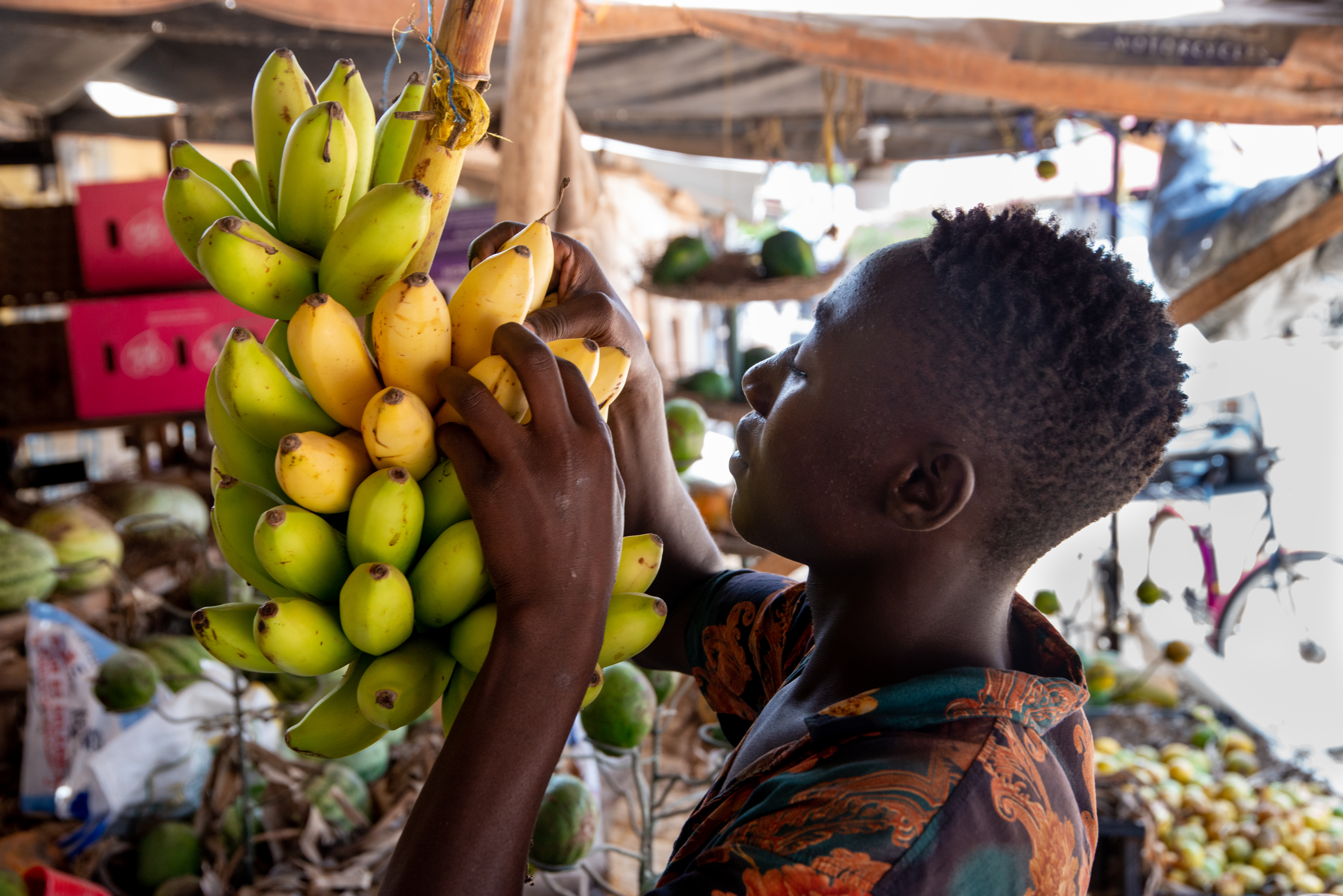 Delivering for Nutrition in South Asia: Connecting the Dots Across Systems