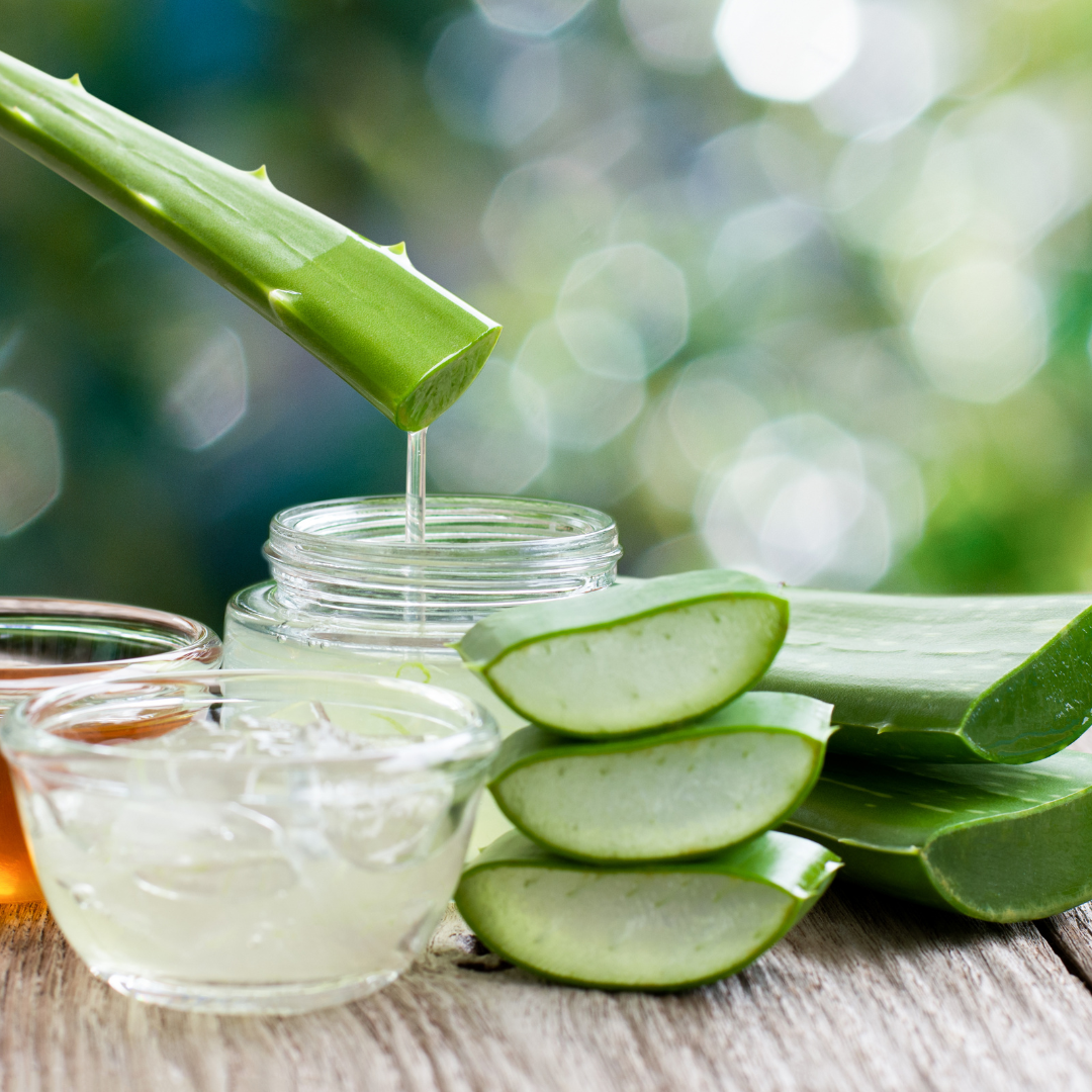 Advancement and Effectiveness of Aloe Vera and Sodium Alginate-Based Natural Coatings