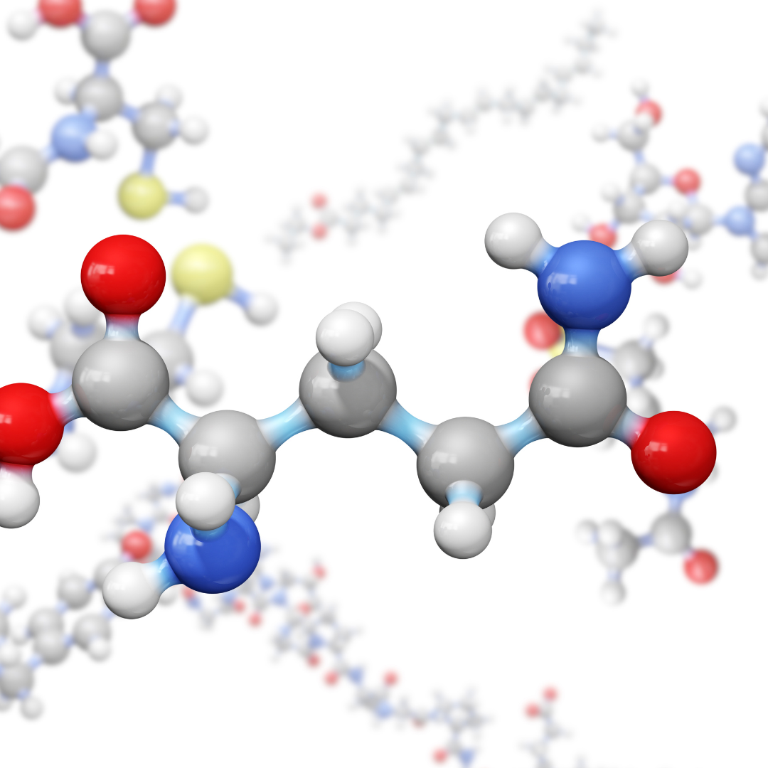 Risk Assessment of "Other Substances" – L-Glutamine and L-Glutamic Acid