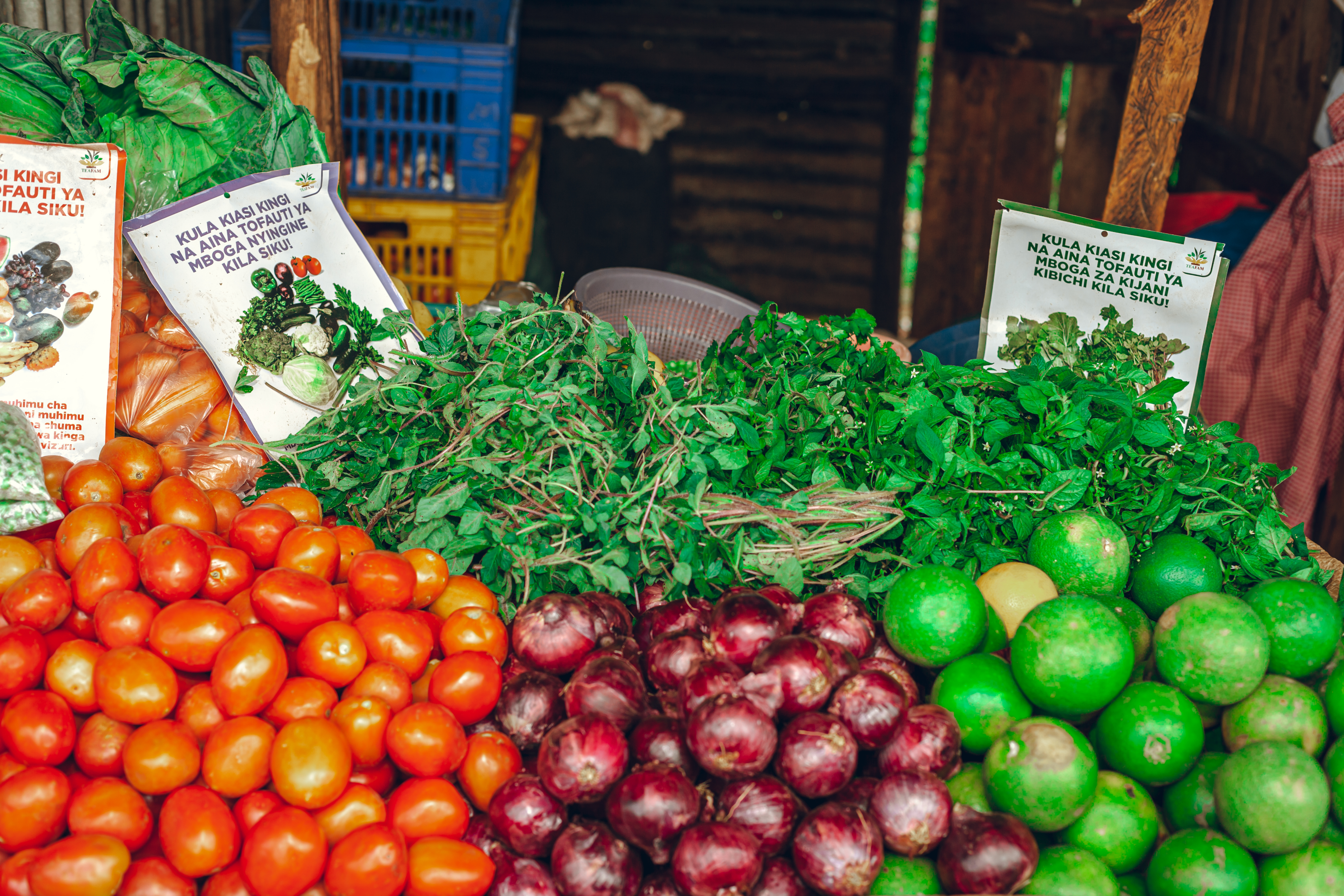 Enterprise Support Organisations for Nutrition: A Convening in Nigeria