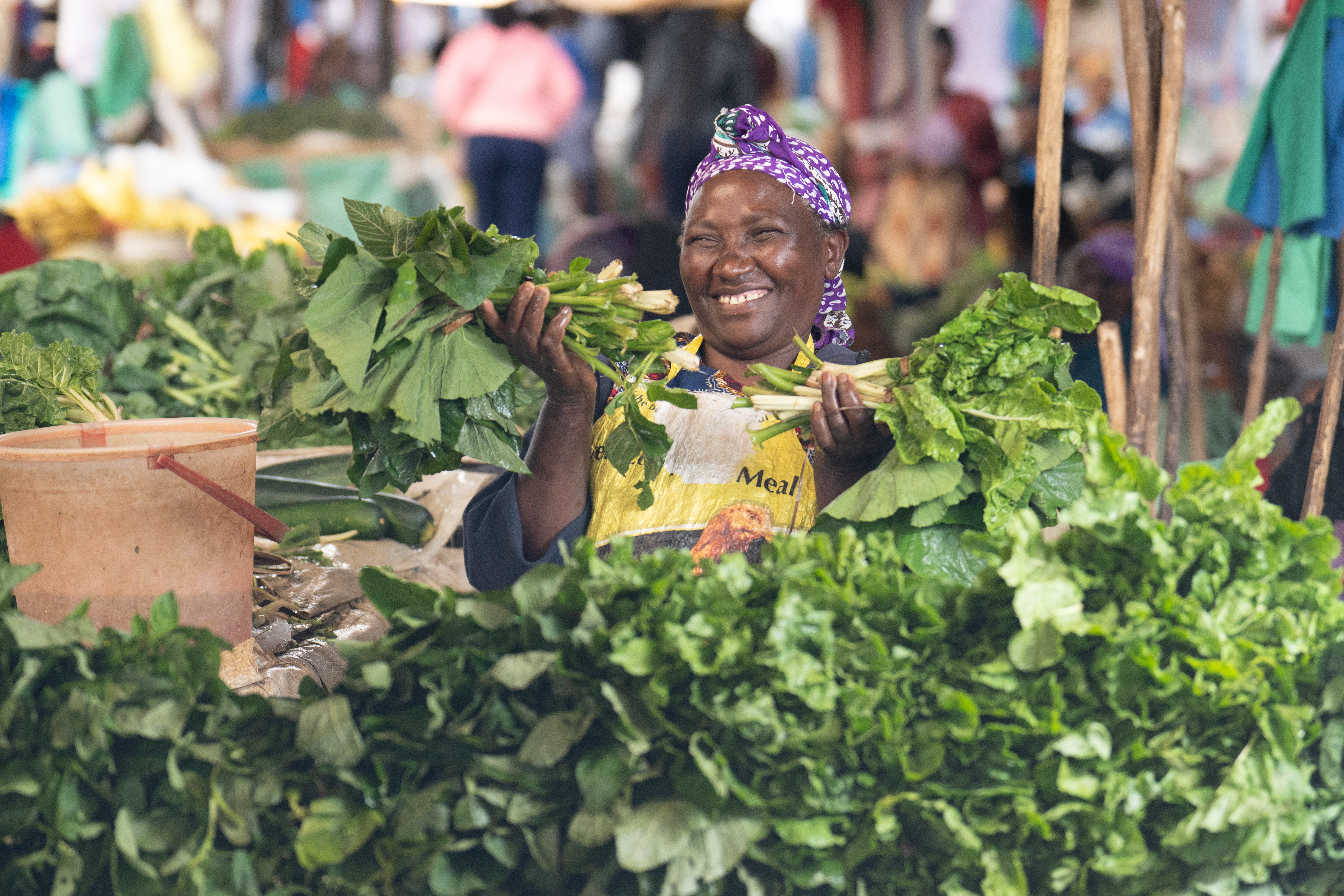 Vegetables for All: Enhancing Dietary Diversity in Kenya