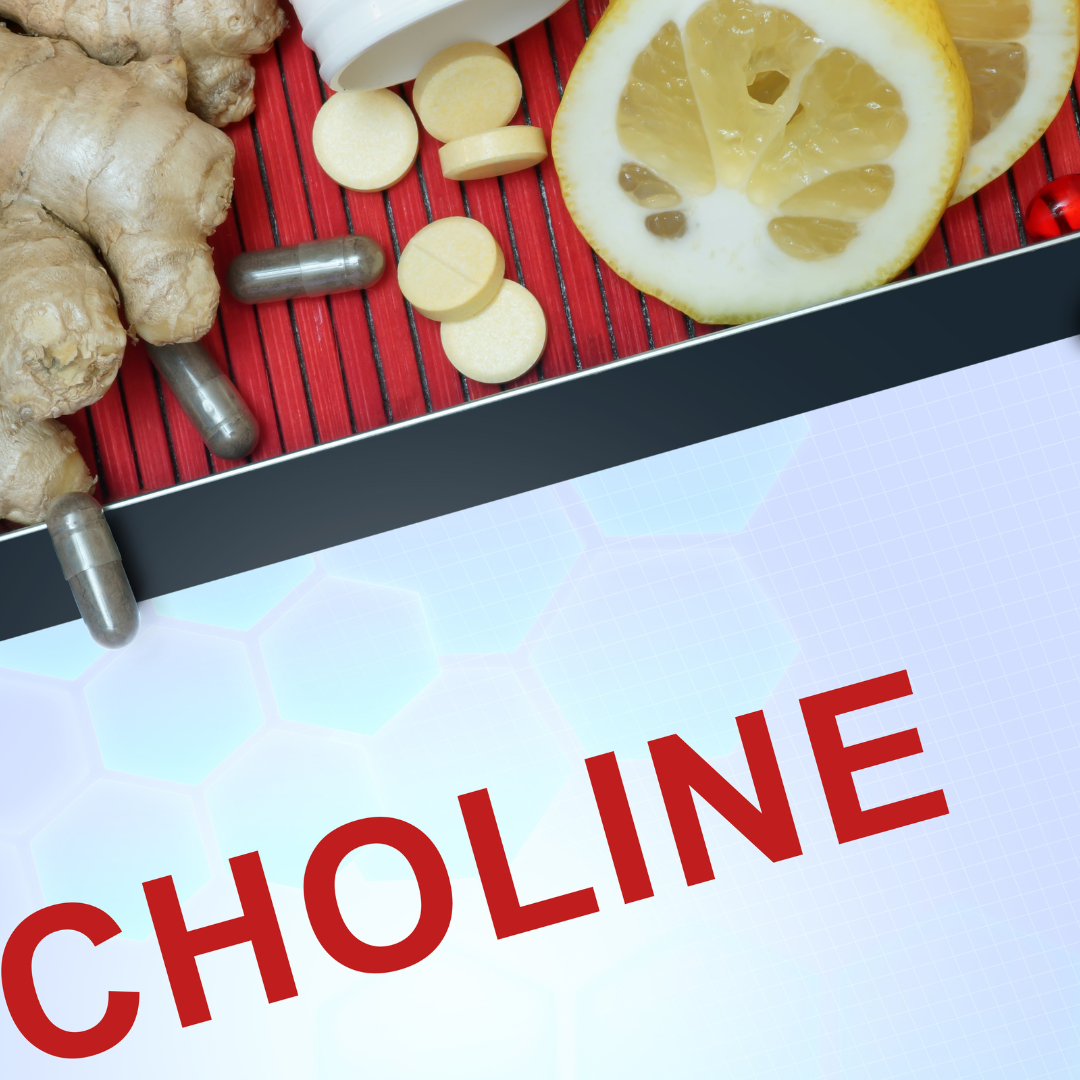 Choline – A Scoping Review for Nordic Nutrition Recommendations 2023 (2023)