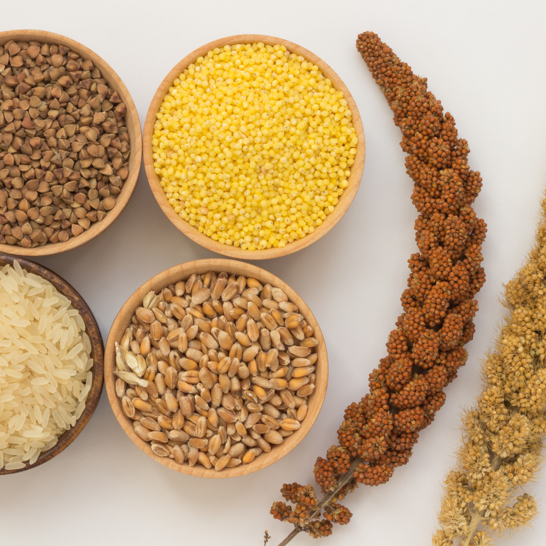 Nutritional and Agronomic Potential of Minor Millets: A Sustainable Approach (2024)