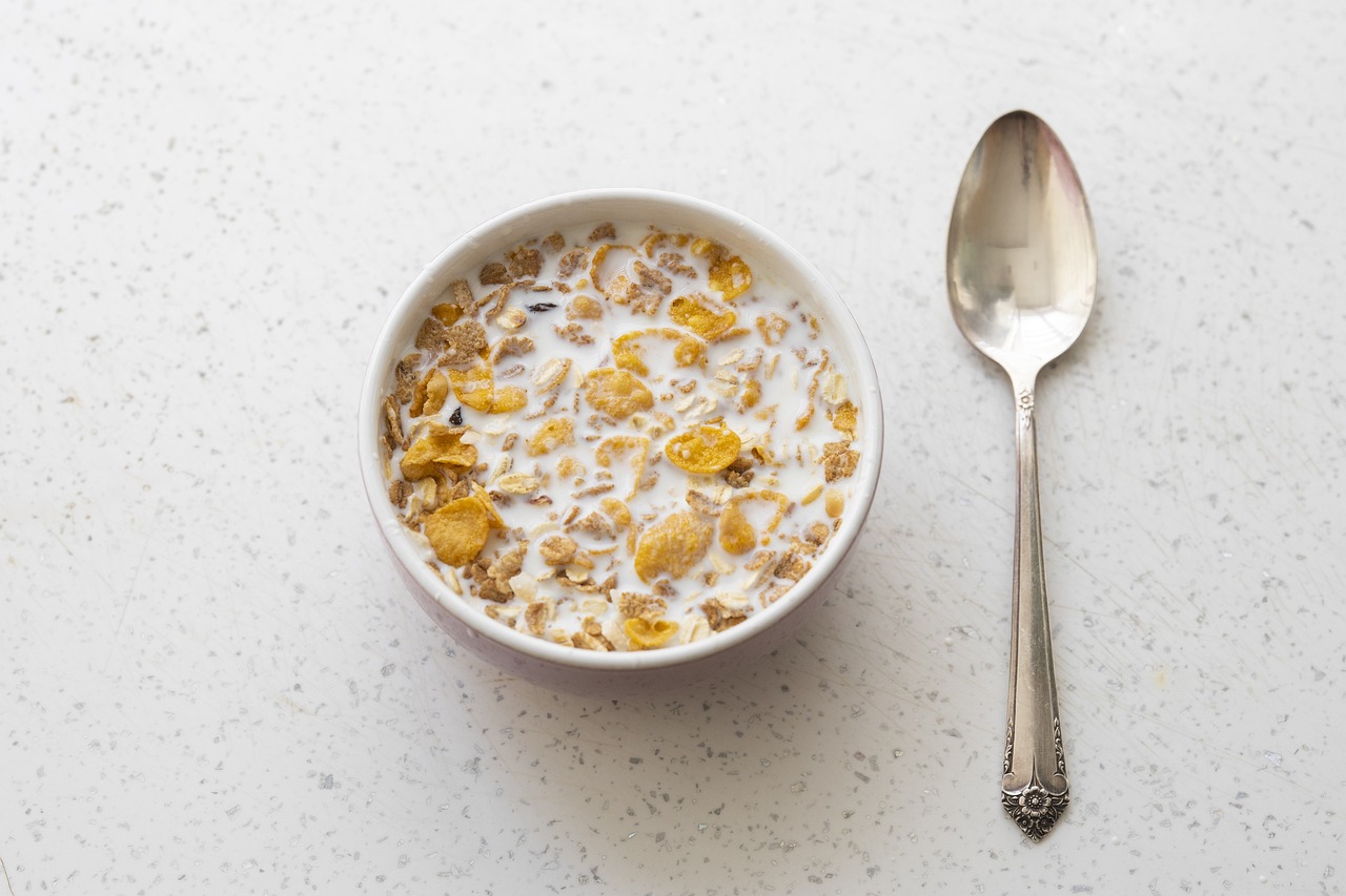 Ingestion of Micronutrient Fortified Breakfast Cereal Has No Influence on Immune Function in Healthy Children: A Randomized Controlled Trial