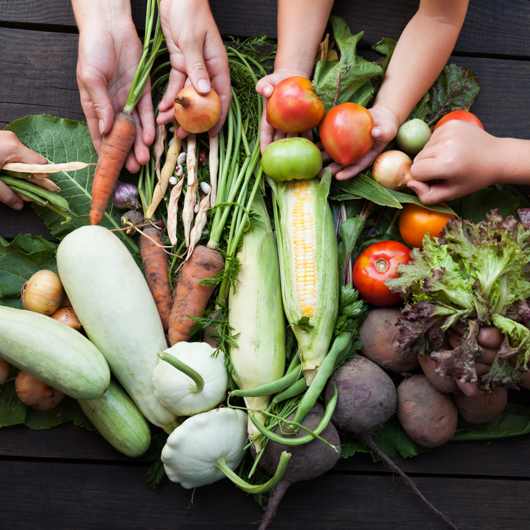 Exploring Physical Activity, Sleep, and Nutrition’s Role in Fatigue Among Post-COVID-19 Patients:
