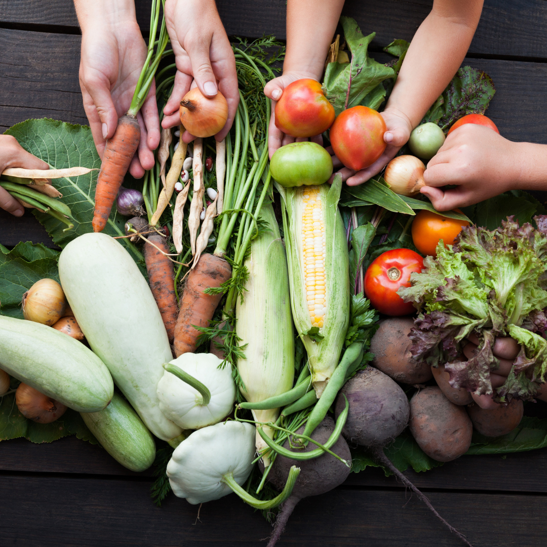 Towards Food Systems Transformation—Five Paradigm Shifts for Healthy, Inclusive, and Sustainable Food Systems (2021)