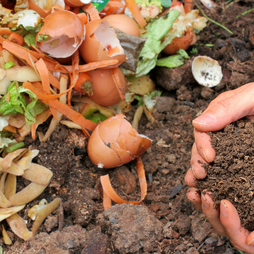 Curbing household food waste and associated climate change impacts in an ageing society