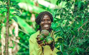  The Case for Investment in Nutritious Foods Value Chains: An Opportunity for Gender Impact