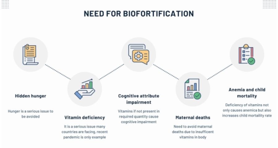 Need for Biofortification- Srivastav et al 2022