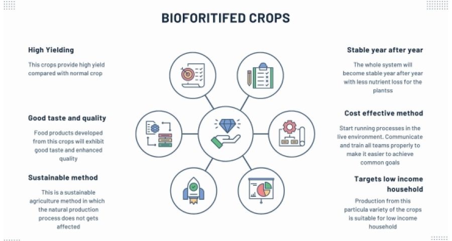 Biofortified Crops -Srivastav et al