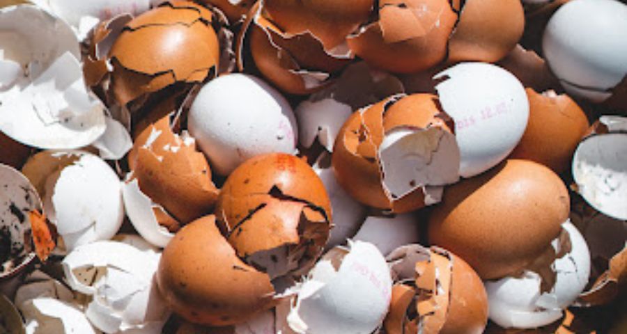 Eggs- Food Loss and Waste-UNEP