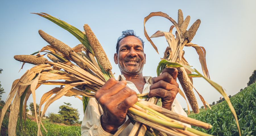 Indian Man with Millet