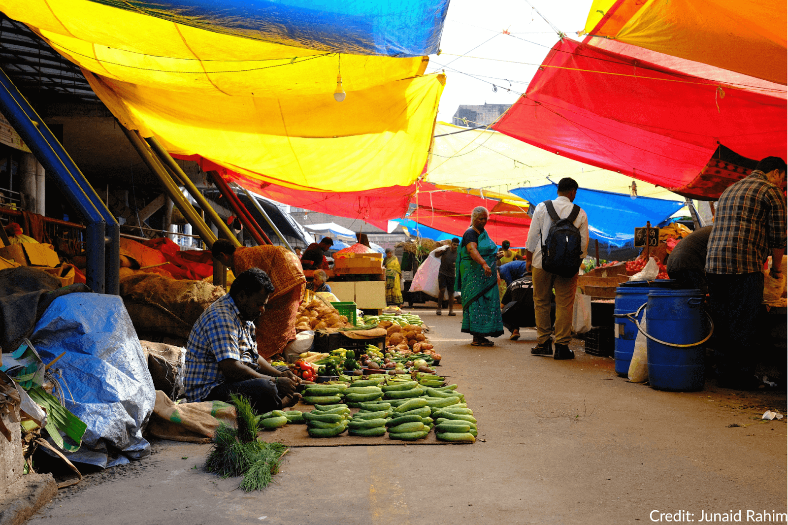 Embedding Healthy Diets into Food Systems: Why Policy and Partnerships Matter