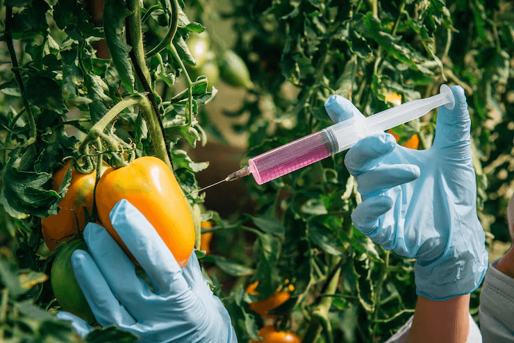 Fortified for Good: Driving Fortification for a Healthier World