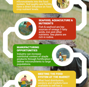 MNF food systems
